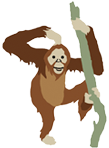 Orangutan Icon