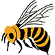 Western Bumble Bee Icon