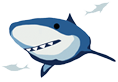 Shark Icon