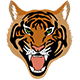 Sumatran Tiger Icon