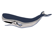 Sperm Whale Icon